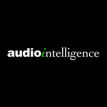 Audio Intelligence